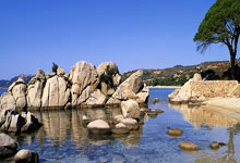 Kaiyun-冲刺阶段广厦男篮调整名单以备英超，调整名单环节打磨，赛场秩序良好，轮换策略成焦点的简单介绍